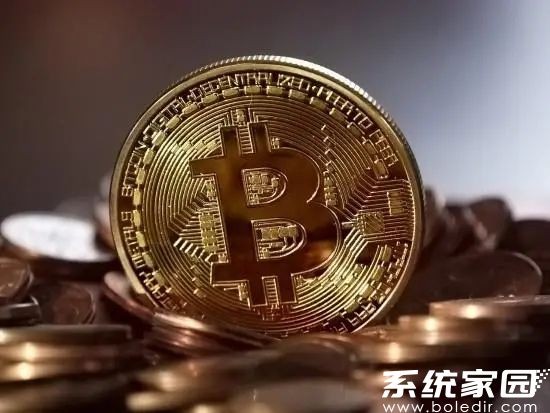 数字资产安全管理