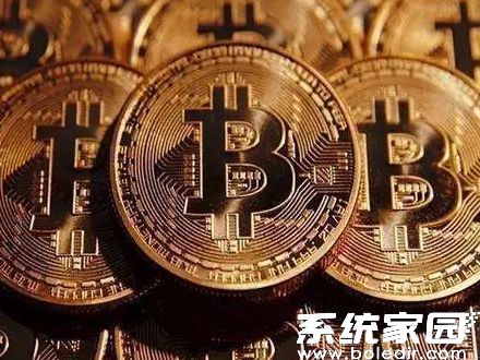 ordi交易系统