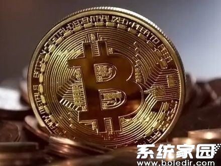 数据分析工具演示