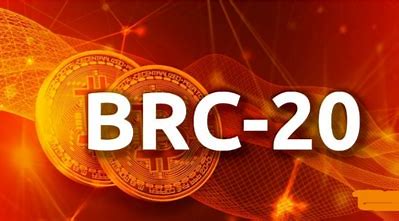 BRC20币SATS币解析与前景展望