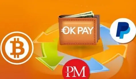 OKPAY钱包客服系统异常示意图