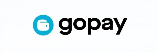 Gopay钱包操作界面示意图