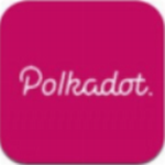 Polkadot交易所2024版移动端安全服务v81.0 手机版