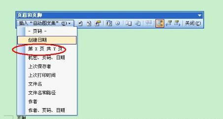 Word页码设置步骤详解与技巧