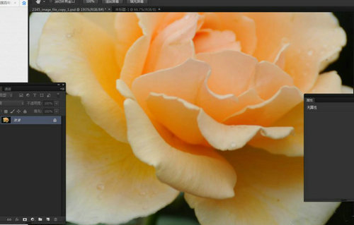 Photoshop抓手工具高效使用指南
