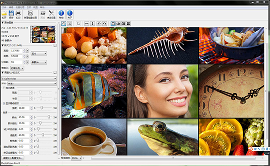 photozoom pro8(u56feu7247u65e0u635fu653eu5927u5668) 