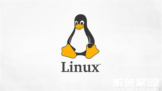 Linux与Windows系统深度对比