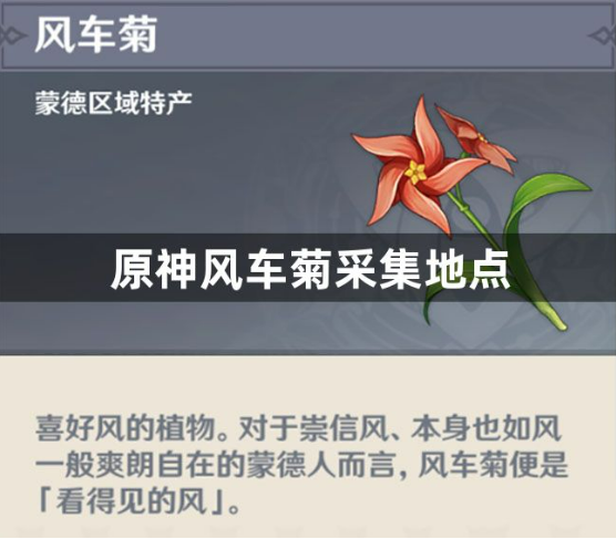 原神风车菊高效收集路线指南