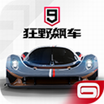 狂野飙车9顶级超跑免费畅玩v3.9.1 国际服版
