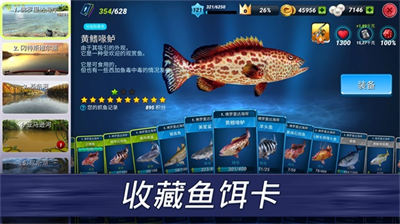 u9493u9c7cu51b2u7a81u6700u65b0u7248