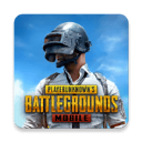 PUBGM全球服高清战场百人竞技
