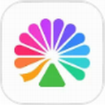 大麦App热门演出购票全v8.9.2 最新版