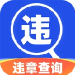 车辆违章查询与实时管理工具