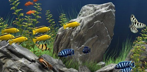 u68a6u5e7bu6c34u65cfu9986u5c4fu4fddu6700u65b0u7248