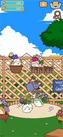 u5c0fu82b1u76c6u523au732cu6c49u5316u7248