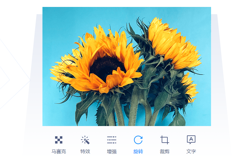 功能演示