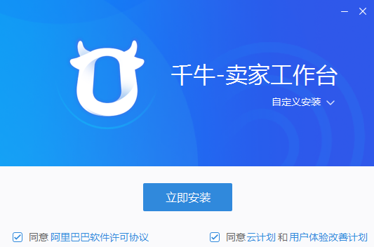 安装界面示意图