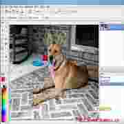 Win7系统XP经典画图工具Paint XP1.3 