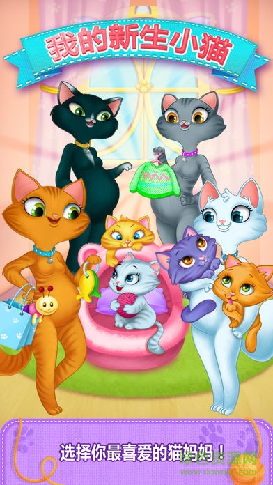 u6211u7684u65b0u751fu5c0fu732bu6e38u620f(My Little Cat)