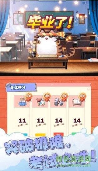 cat school下载